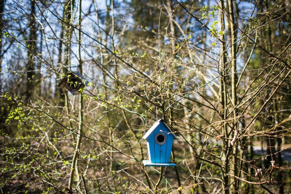 Bungalow 131 Villa Durbuy Eksteriør bilde